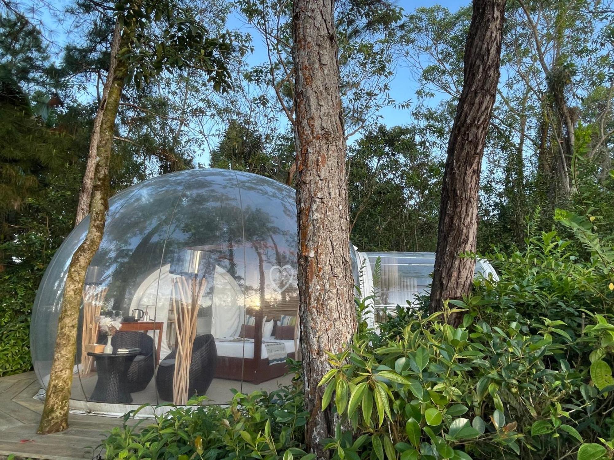 Bubble Lodge Bois Cheri Plantation Dış mekan fotoğraf